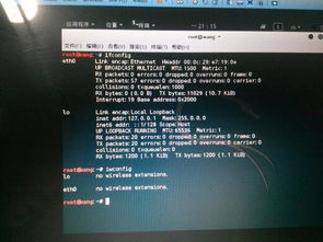 Kali Linux筆記本無(wú)線網(wǎng)卡缺失排查與加載指南